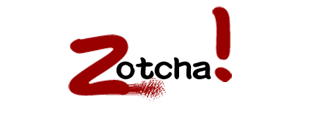 Zotcha Networks Logo